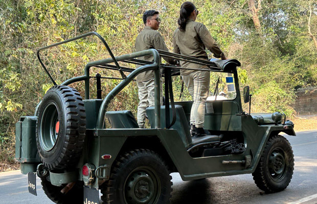 Pre-wedding Jeep Rental